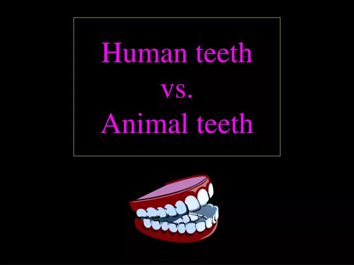 human teeth vs animal teeth