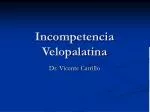 Incompetencia Velopalatina - slide 1