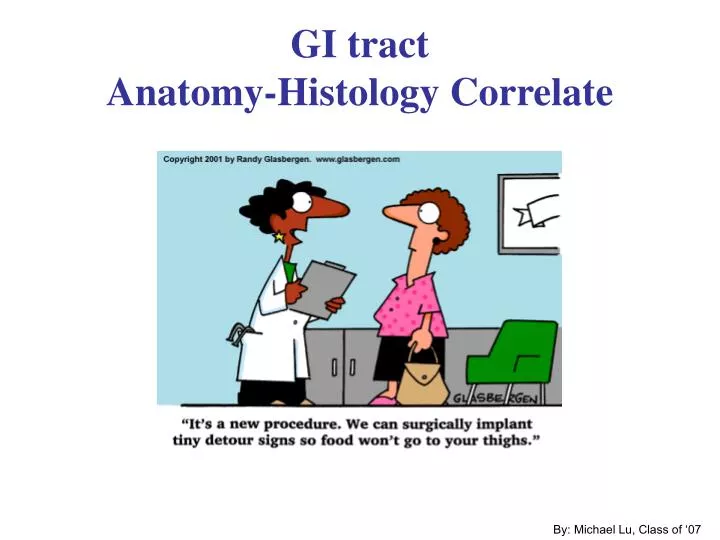 gi tract anatomy histology correlate