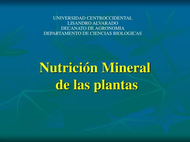 nutrici n mineral de las plantas