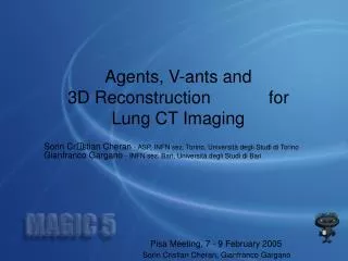 Agents, V-ants and 3D Reconstruction for Lung CT Imaging