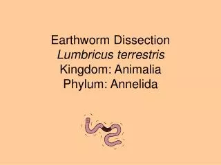 Earthworm Dissection Lumbricus terrestris Kingdom: Animalia Phylum: Annelida