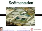 PPT - SEDIMENTATION PowerPoint Presentation, free download - ID:842356