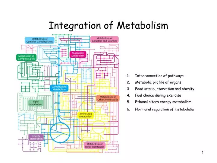 integration of metabolism