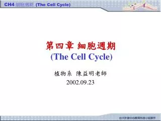 the cell cycle