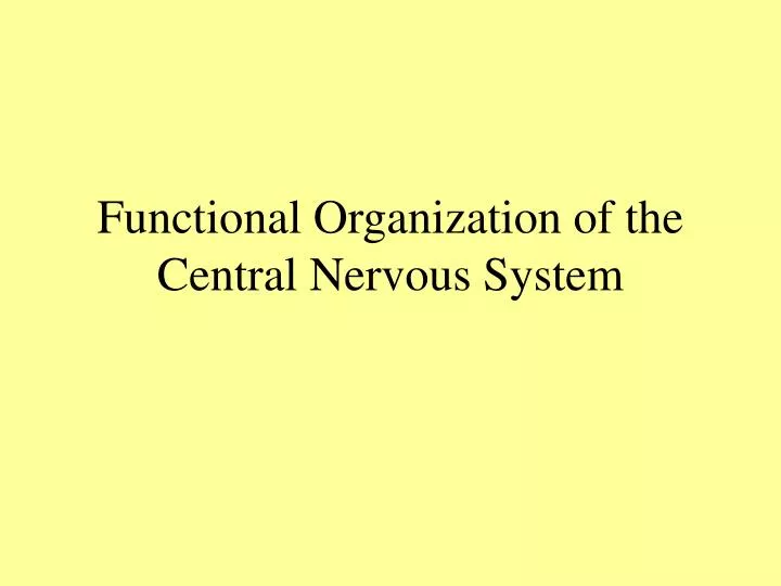 functional organization of the central nervous system