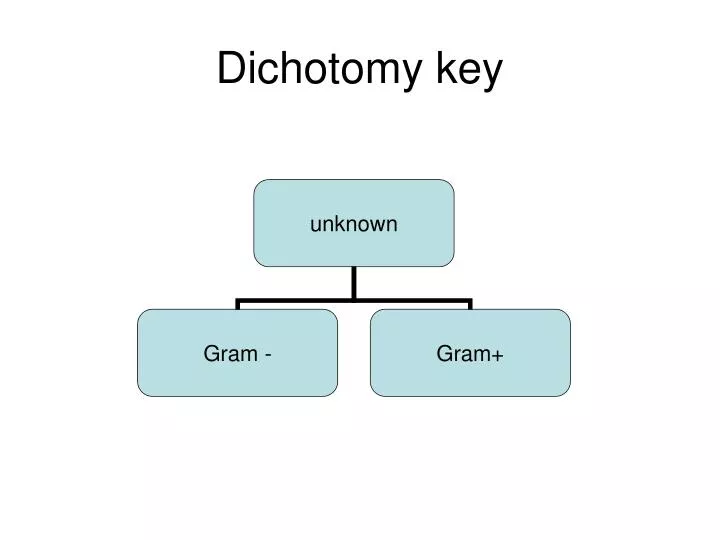 dichotomy key