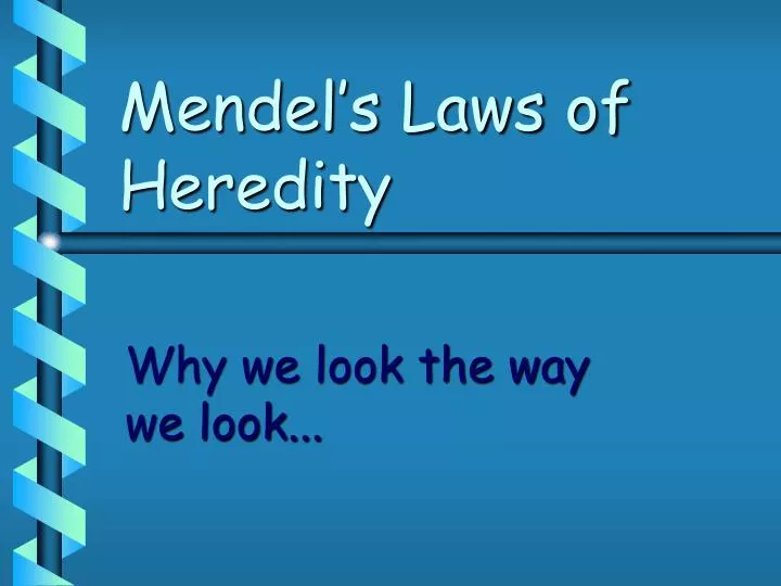 mendel s laws of heredity