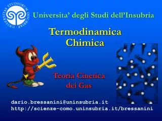 termodinamica chimica