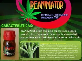 reanimator grow - cannabis marihuana estimulante crecimiento