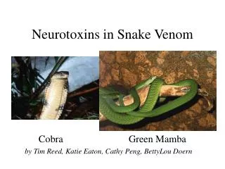 Neurotoxins in Snake Venom