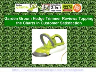 garden groom - professional hedge trimming can be affordable