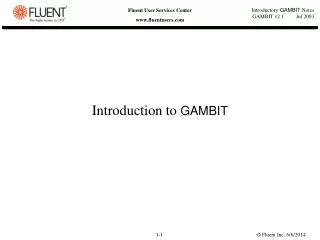 Introduction to GAMBIT