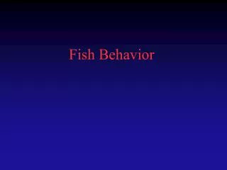 Fish Behavior