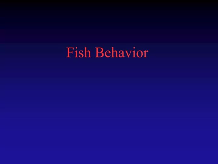 fish behavior