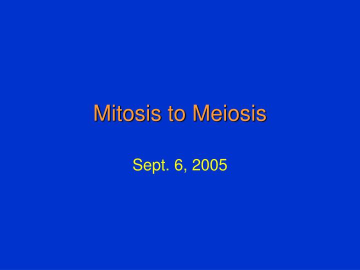 mitosis to meiosis