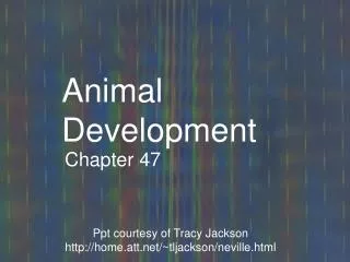 Animal Development