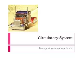 circulatory system