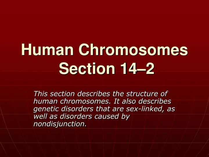 human chromosomes section 14 2