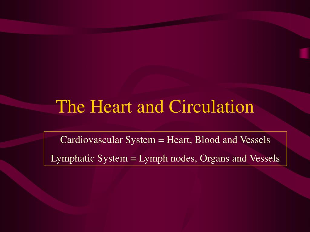 PPT - The Heart and Circulation PowerPoint Presentation, free download ...