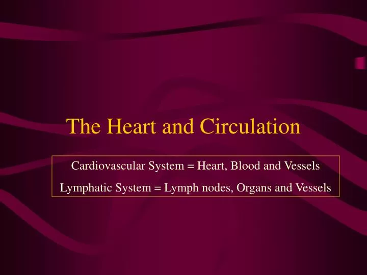 the heart and circulation