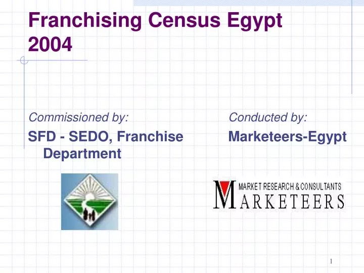 franchising census egypt 2004