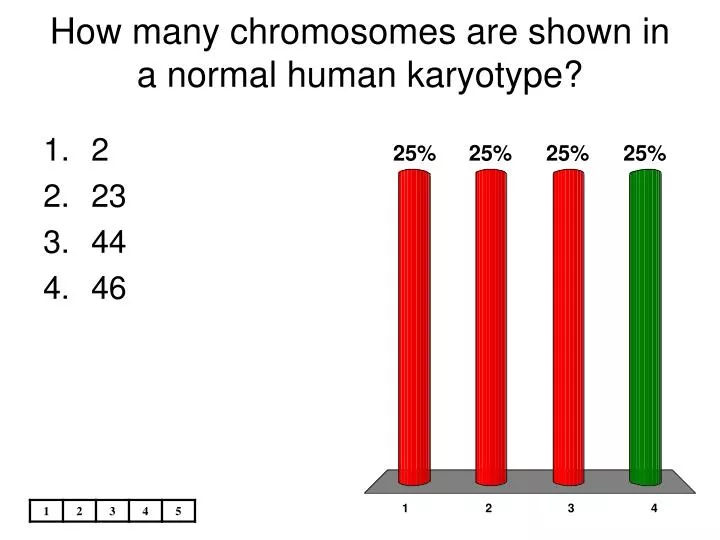 how many chromosomes are shown in a normal human karyotype
