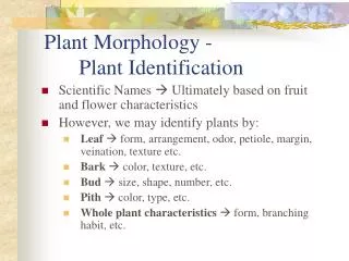 Plant Morphology - 	Plant Identification