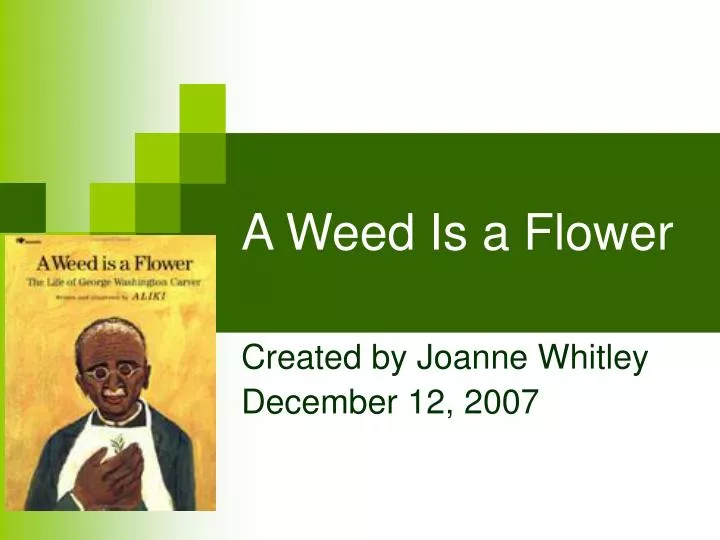 a weed is a flower