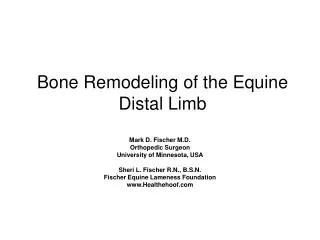 Bone Remodeling of the Equine Distal Limb
