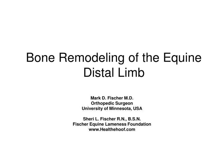 bone remodeling of the equine distal limb