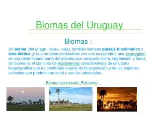 biomas del uruguay