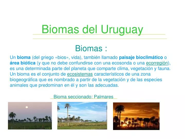 biomas del uruguay