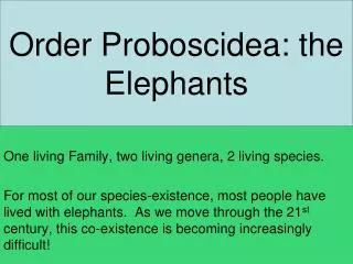 Order Proboscidea: the Elephants
