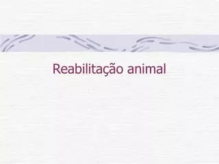 reabilita o animal