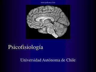 psicofisiolog a