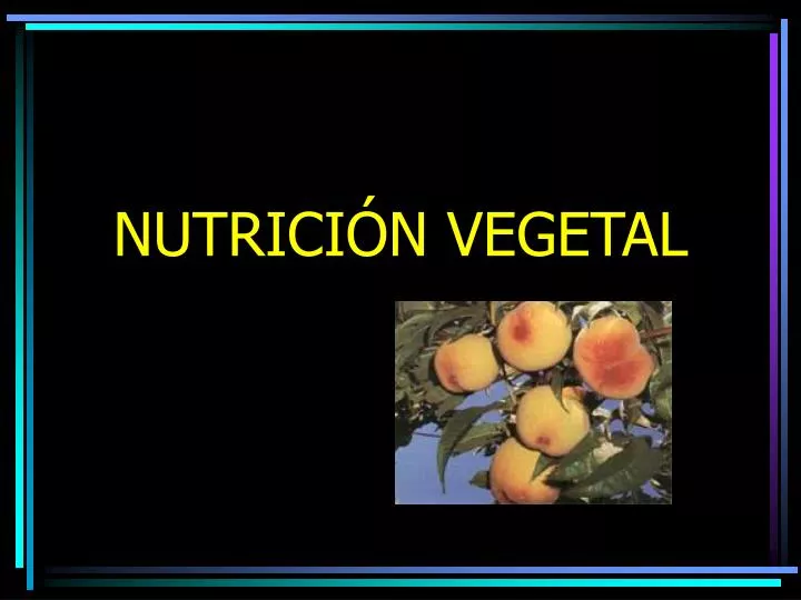 nutrici n vegetal