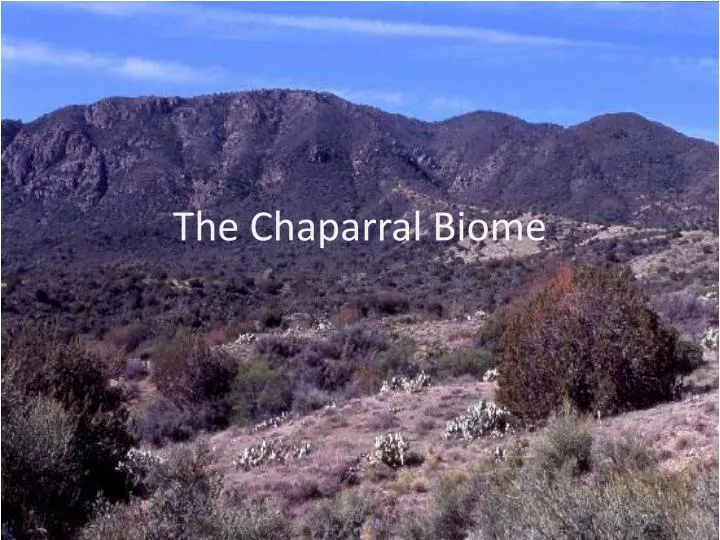 the chaparral biome