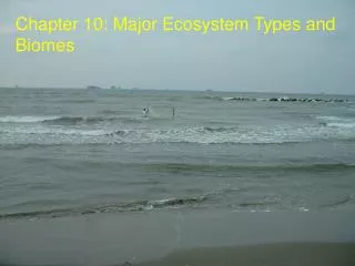 Chapter 10: Major Ecosystem Types and Biomes