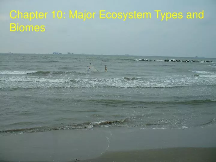 chapter 10 major ecosystem types and biomes