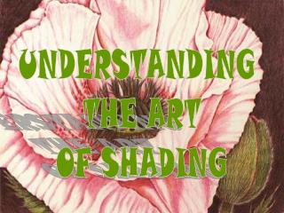 UNDERSTANDING THE ART OF SHADING