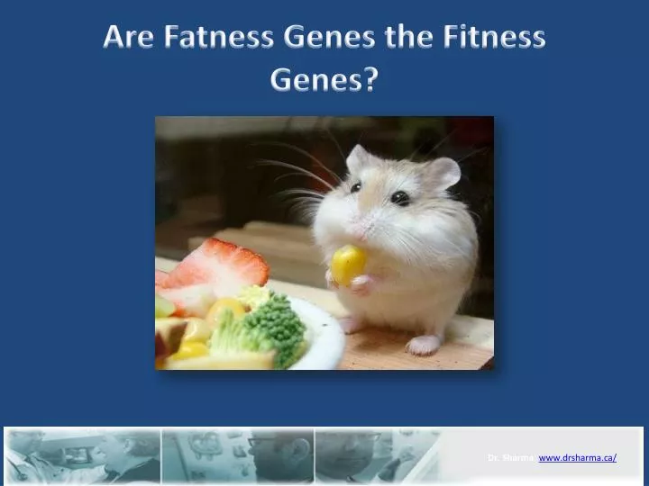 are fatness genes the fitness genes