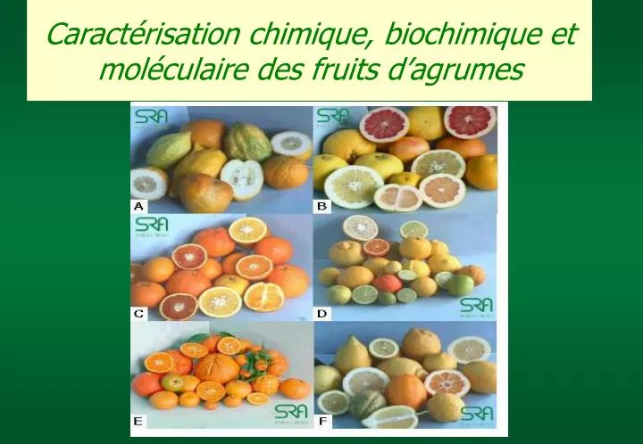 caract risation chimique biochimique et mol culaire des fruits d agrumes