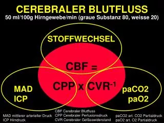cerebraler blutfluss 50 ml 100g hirngewebe min graue substanz 80 weisse 20