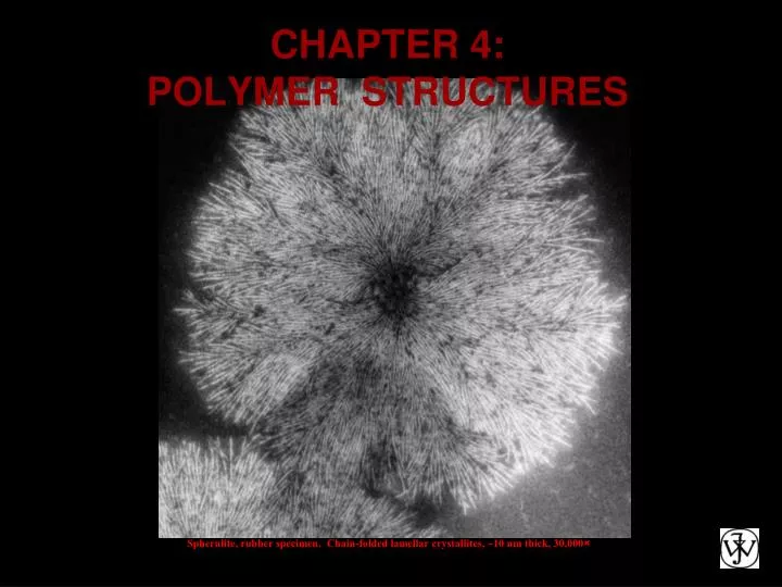 chapter 4 polymer structures