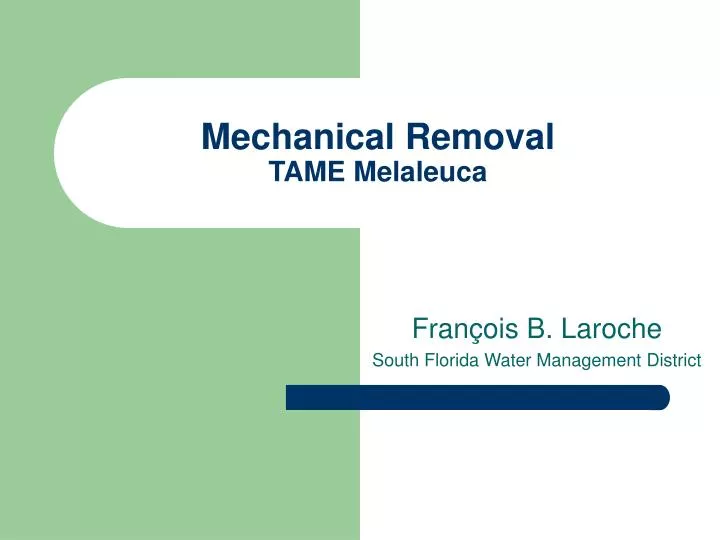 mechanical removal tame melaleuca