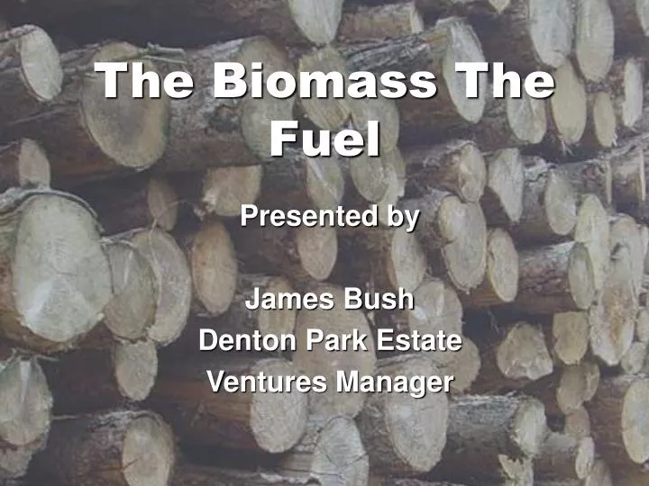 the biomass the fuel