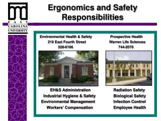 Ergonomics and Safety Responsibilities
