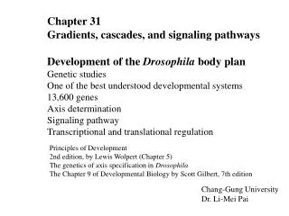 Chapter 31 Gradients, cascades, and signaling pathways Development of the Drosophila body plan Genetic studies
