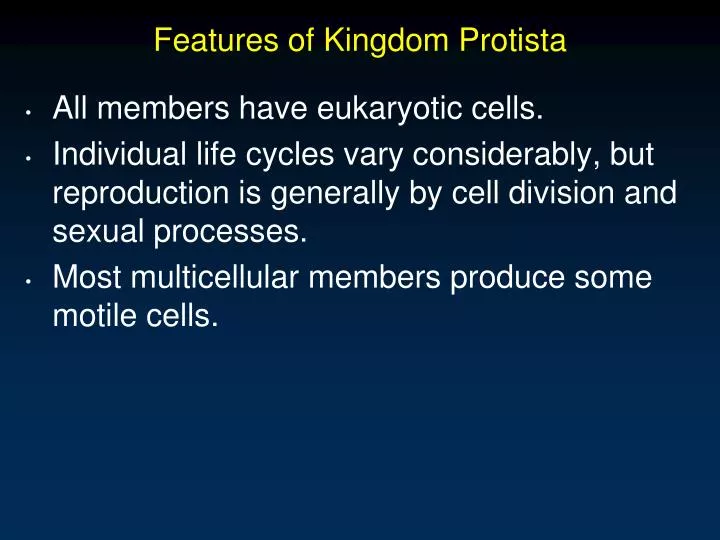 features of kingdom protista